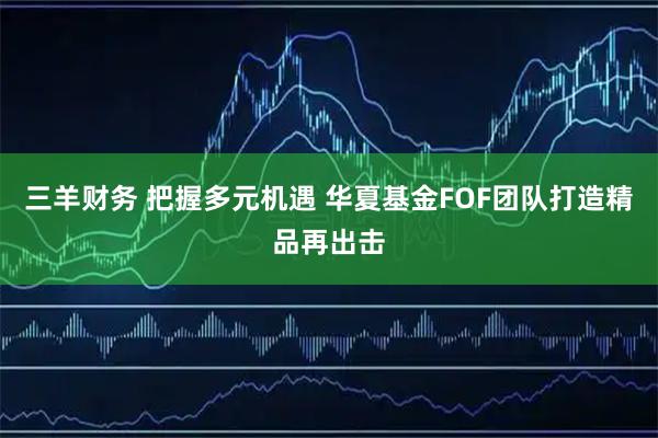 三羊财务 把握多元机遇 华夏基金FOF团队打造精品再出击