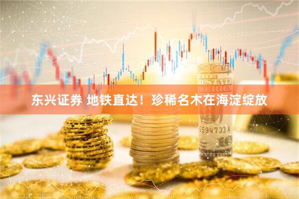 东兴证券 地铁直达！珍稀名木在海淀绽放